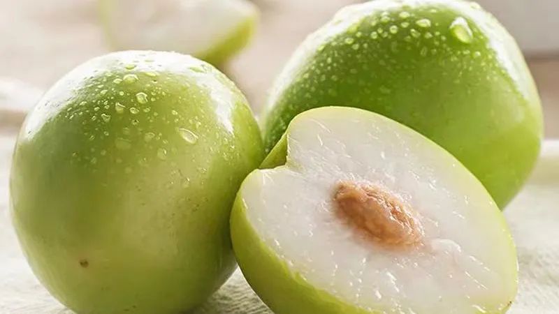 台湾牛奶枣最新品种,台湾特大牛奶枣