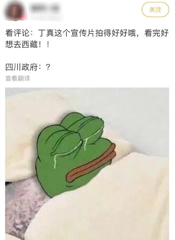 丁真和四川什么关系,丁真背后是谁