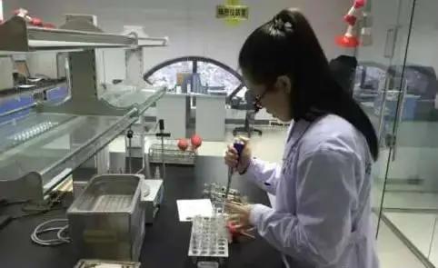 仿瓷碗对人体的危害,仿瓷碗用多久会引起白血病