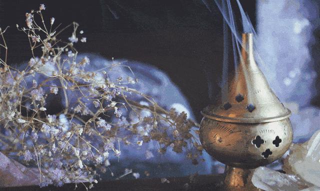 什么精油对猫有危害,猫咪精油有必要用吗