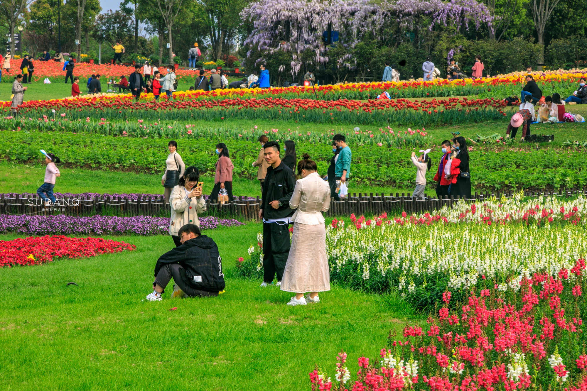 最值得去的鲜花小镇,距离武汉不远的景区