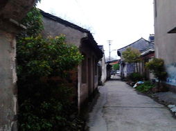 嘉兴北门大街和塘湾街,嘉兴最火爆商业街