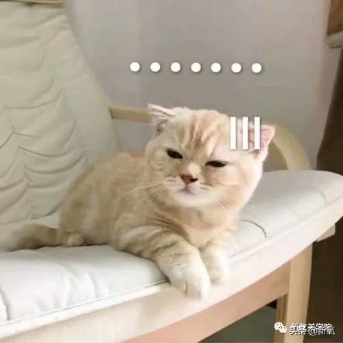 如何成为撩人高手,怎么才能眉目含情