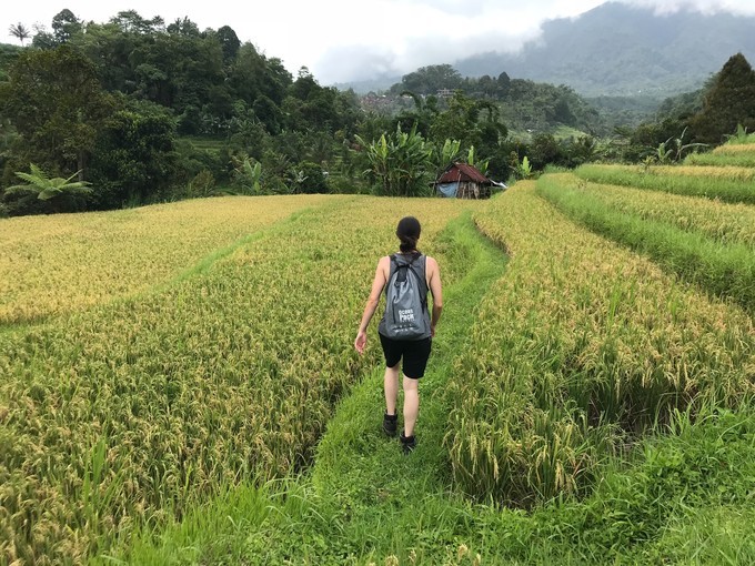 在乌布打个盹然后去吉利岛撒欢