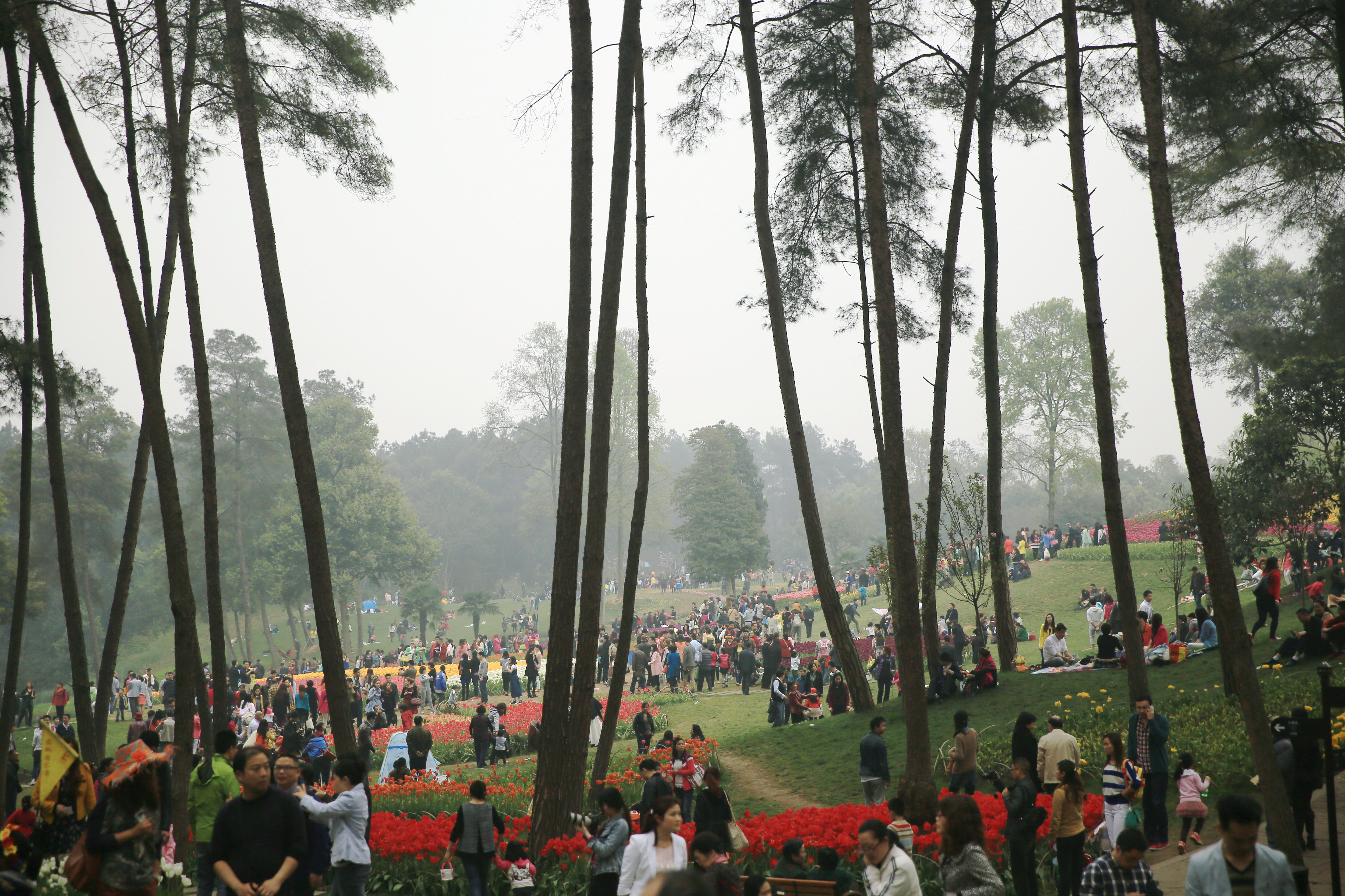 钂叉睙鐭宠薄婀栧ソ鐜╀笉,钂叉睙鐭宠薄婀栧ソ鑰嶅悧