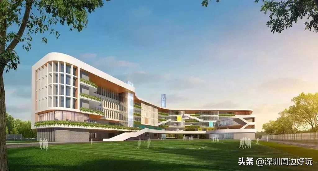 住在深圳的人,住在深圳的市民