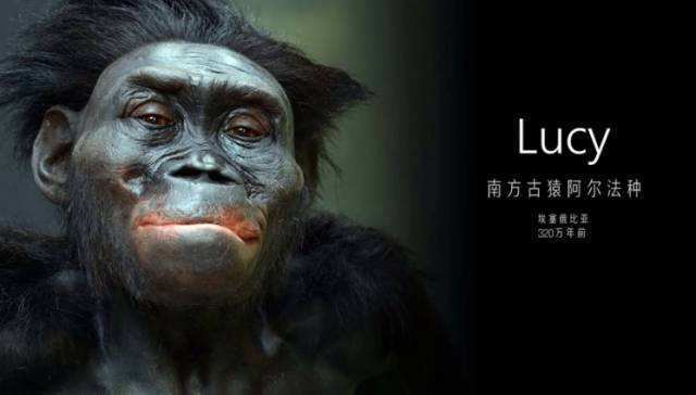 只有人类才有的“奇怪”关于空间安全的心理效应