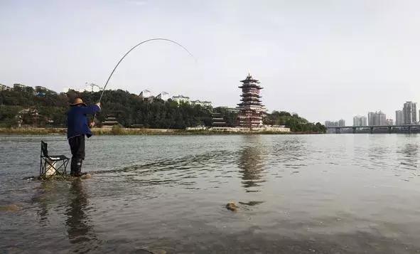 鱼竿m和h和l什么区别新手怎么选,鱼竿h和t哪个好