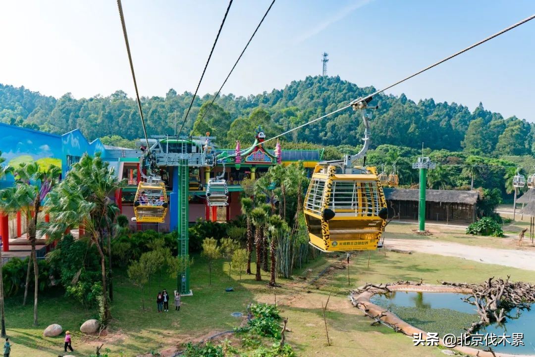 北京中风险区清零,北京中风险地区解除