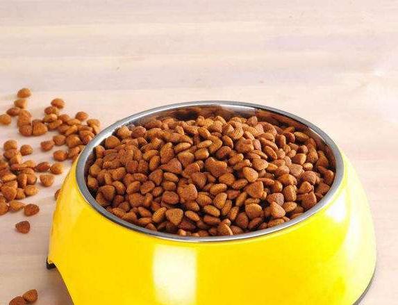 雪纳瑞8岁狗粮推荐,雪纳瑞