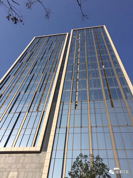 北京东路小学开发区分校,北京东路小学分校紫金分校怎么样