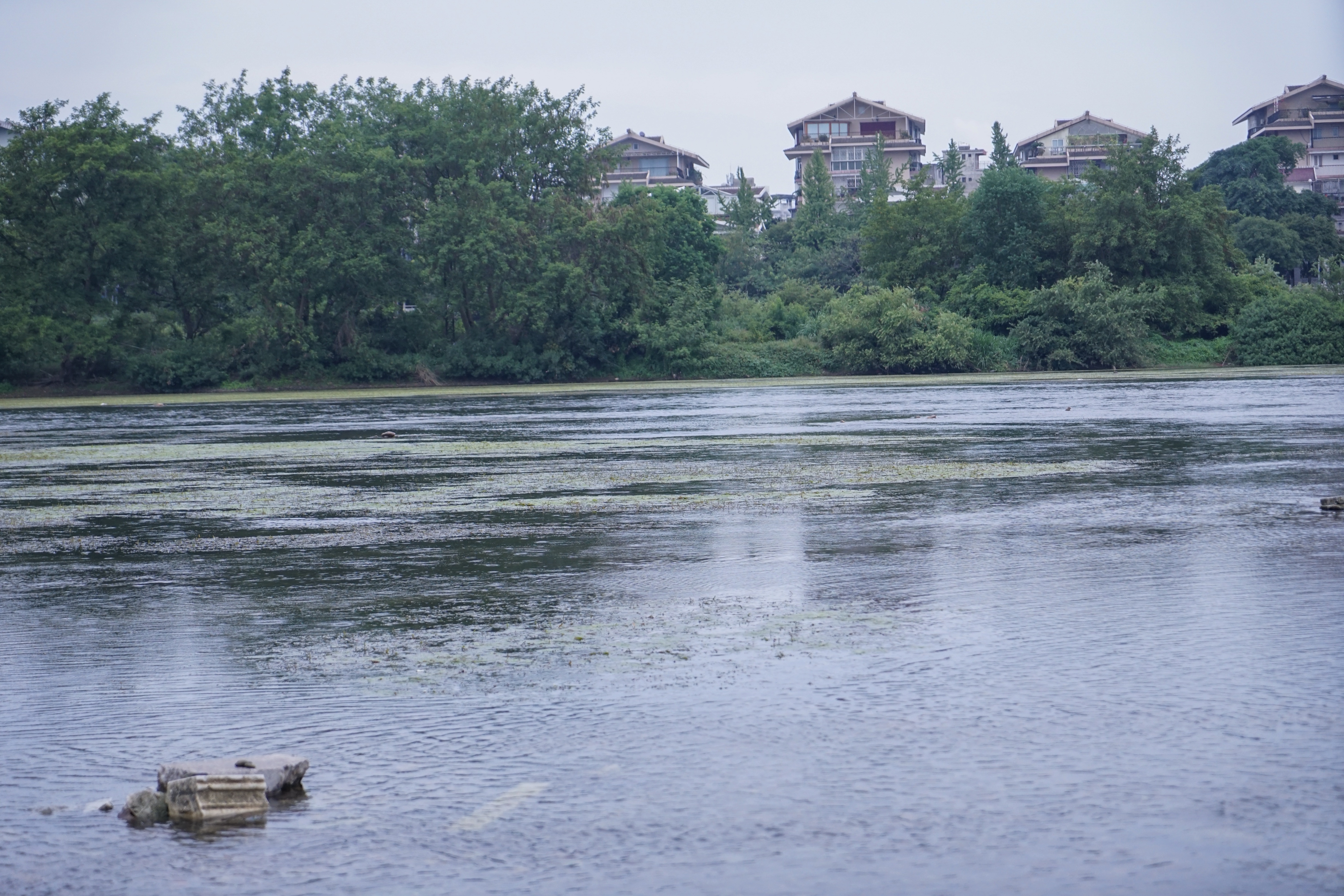 桂林山水六日游198元,桂林28元阳朔三日游