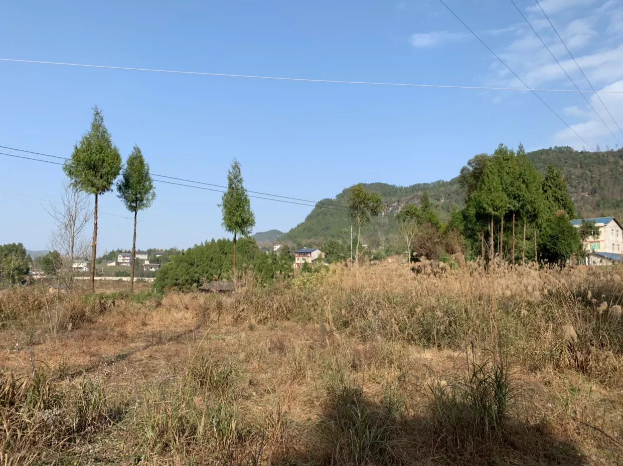 荣县连续地震,荣县发生8级地震吗