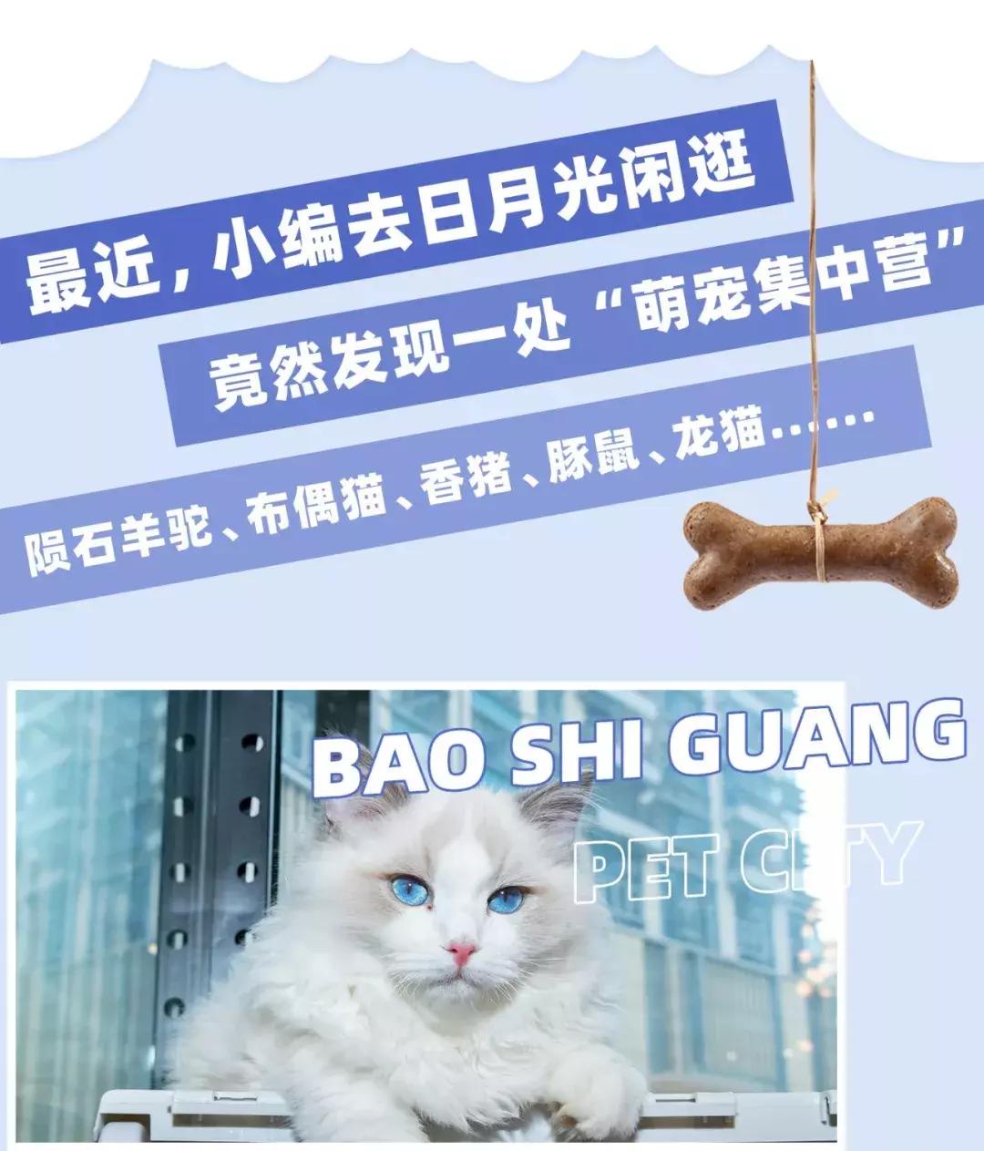 19.9包邮毛绒羊驼,羊驼9.9元秒杀直播