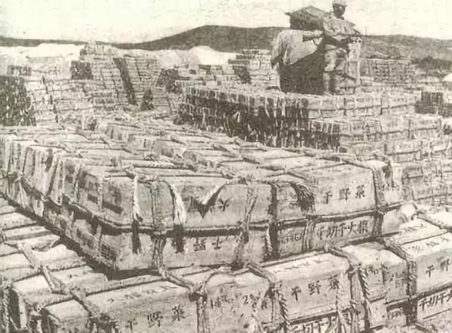 区区一个脚气病,差点灭掉日本*队军**,还改变了日本的国运……