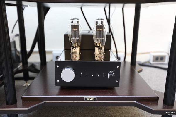 精准再进化,搭配胆机超迷人:德国飞星AudioPhysicVirgoIII