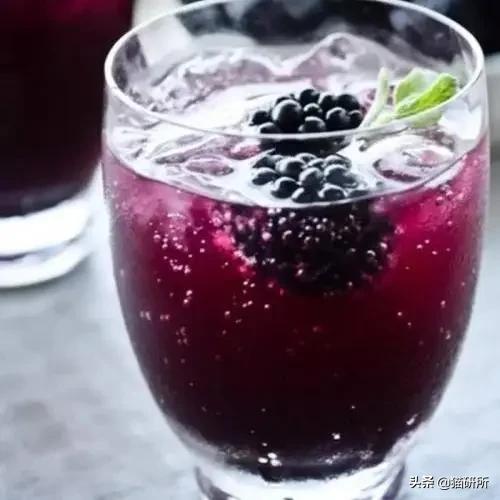 显微镜下的猫屎，竟然和这么多食物都撞脸？