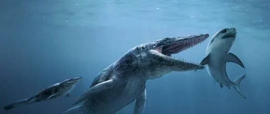 世界上最长的3米巨型蜈蚣,史前十大巨兽排行榜棘龙