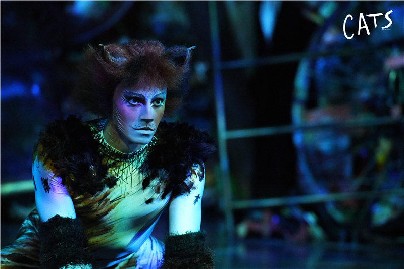 天津大剧院音乐剧演出,天津音乐剧2020