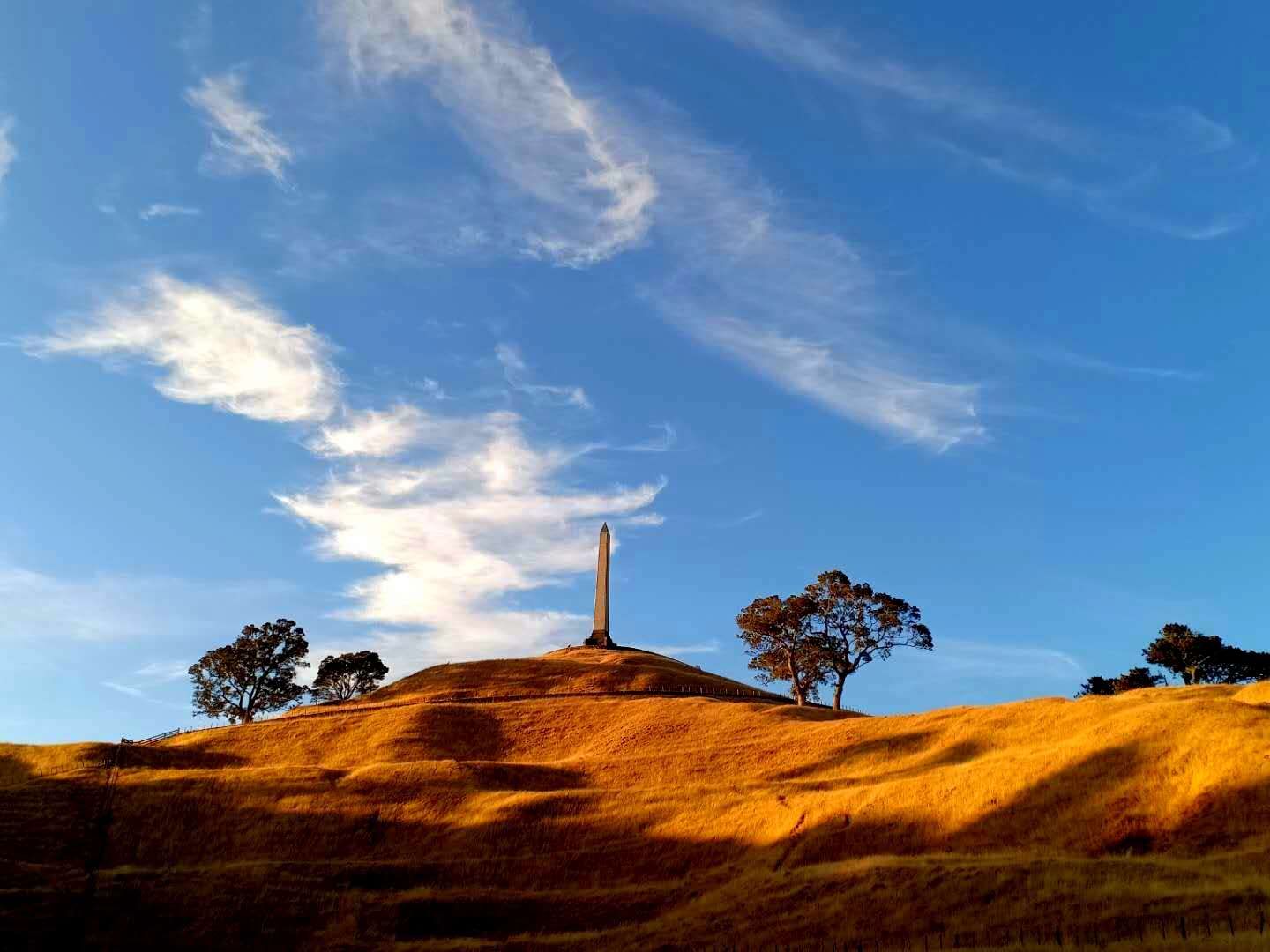 一树山介绍,一树山