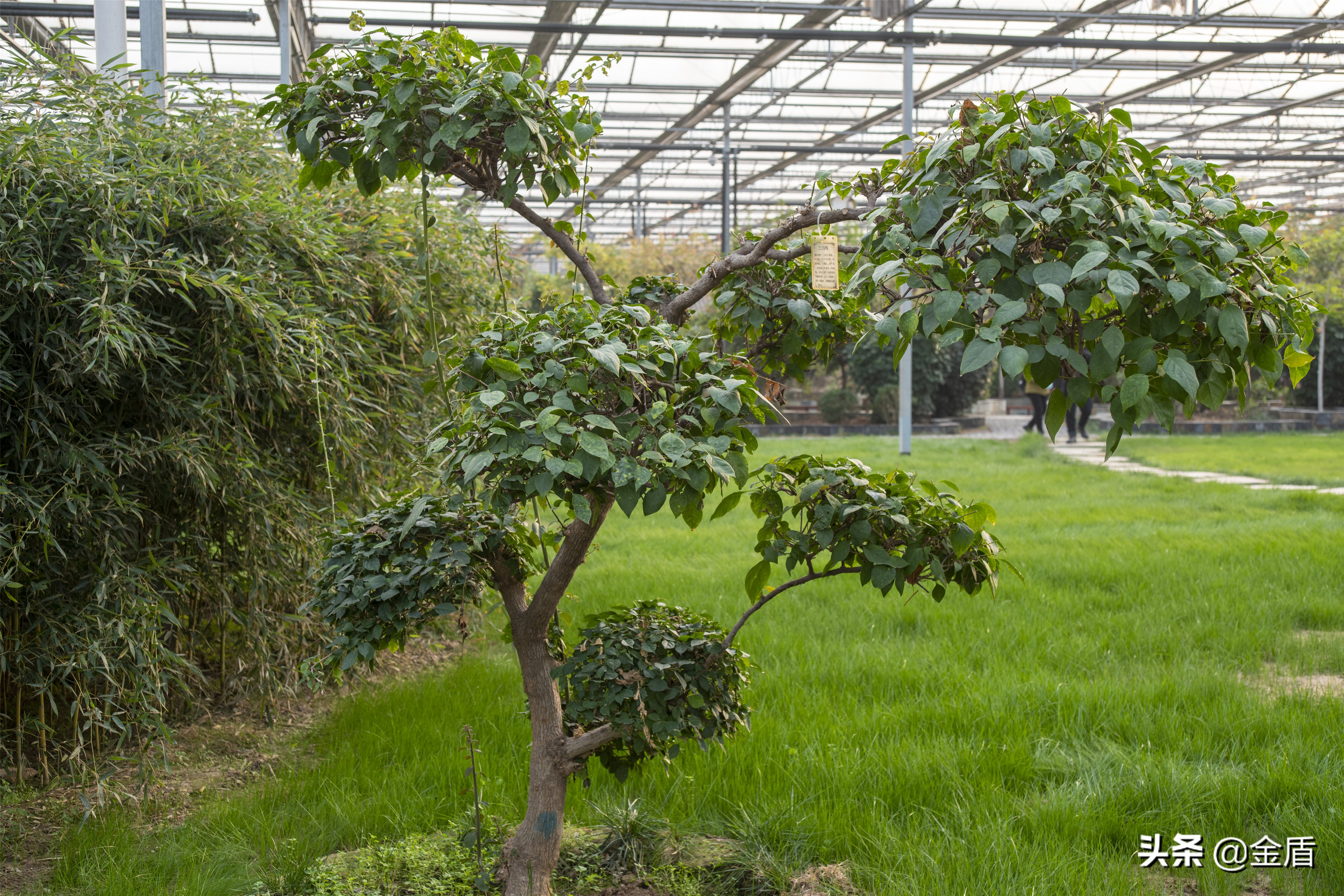 九天休闲谷附近景点大全,九天休闲谷一日游玩