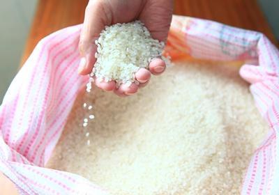 鲜竹笋怎样煮才熟得快,干竹笋该怎么煮才熟得快