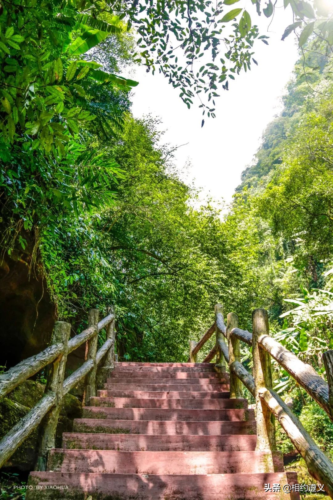 赤水大瀑布 侏罗纪公园 (世界唯一保留的侏罗纪原始公园)