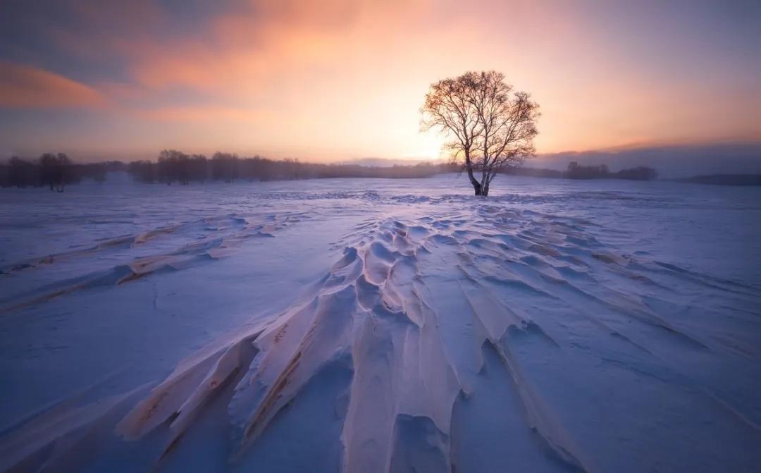中医特有专长报考助理中医师,中医执业助理可以报考中医专长证