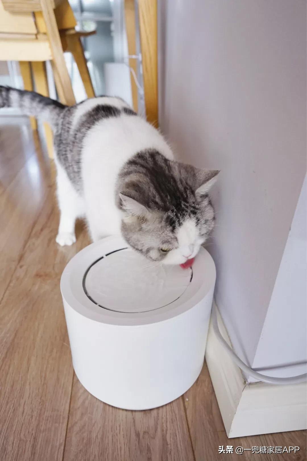 家居必备的100种好物,家居100件好物推荐