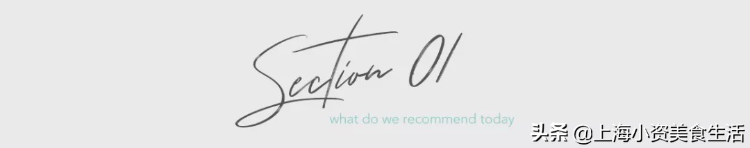 豆柴犬幼犬直播,豆柴是一只非常可爱的小狗