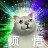 轻薄笔记本选购指南2020,办公党笔记本电脑选购指南2021