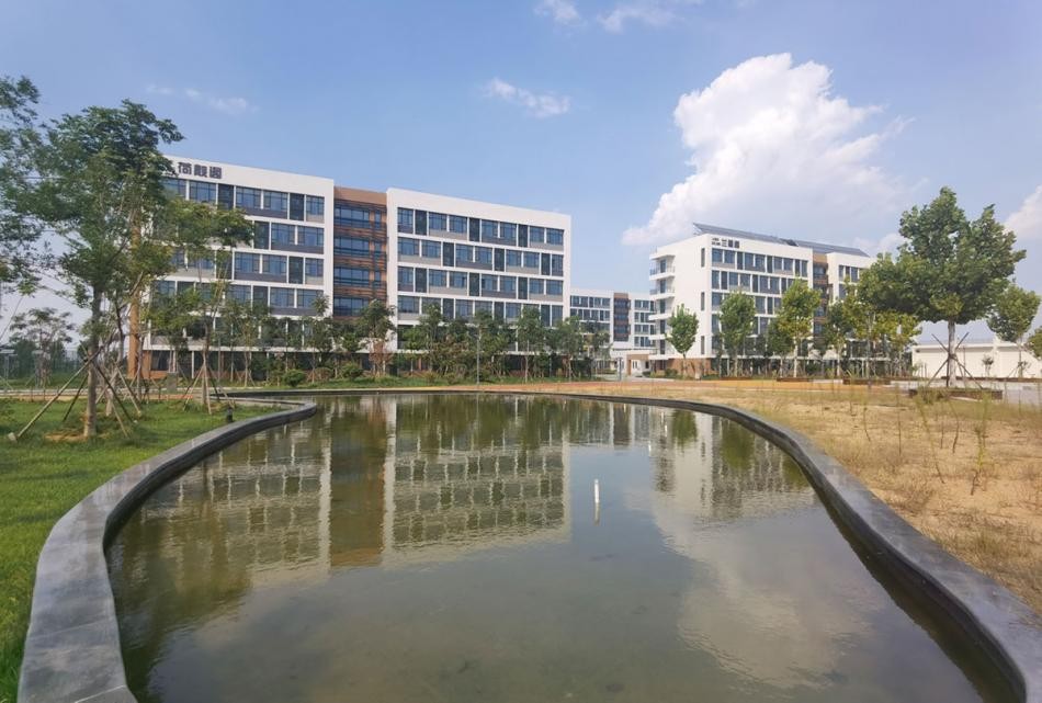 青岛幼儿师范高等专科学校新项目,青岛幼儿师范高等专科学校幼儿园