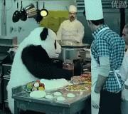 摄影点评（熊猫上班）