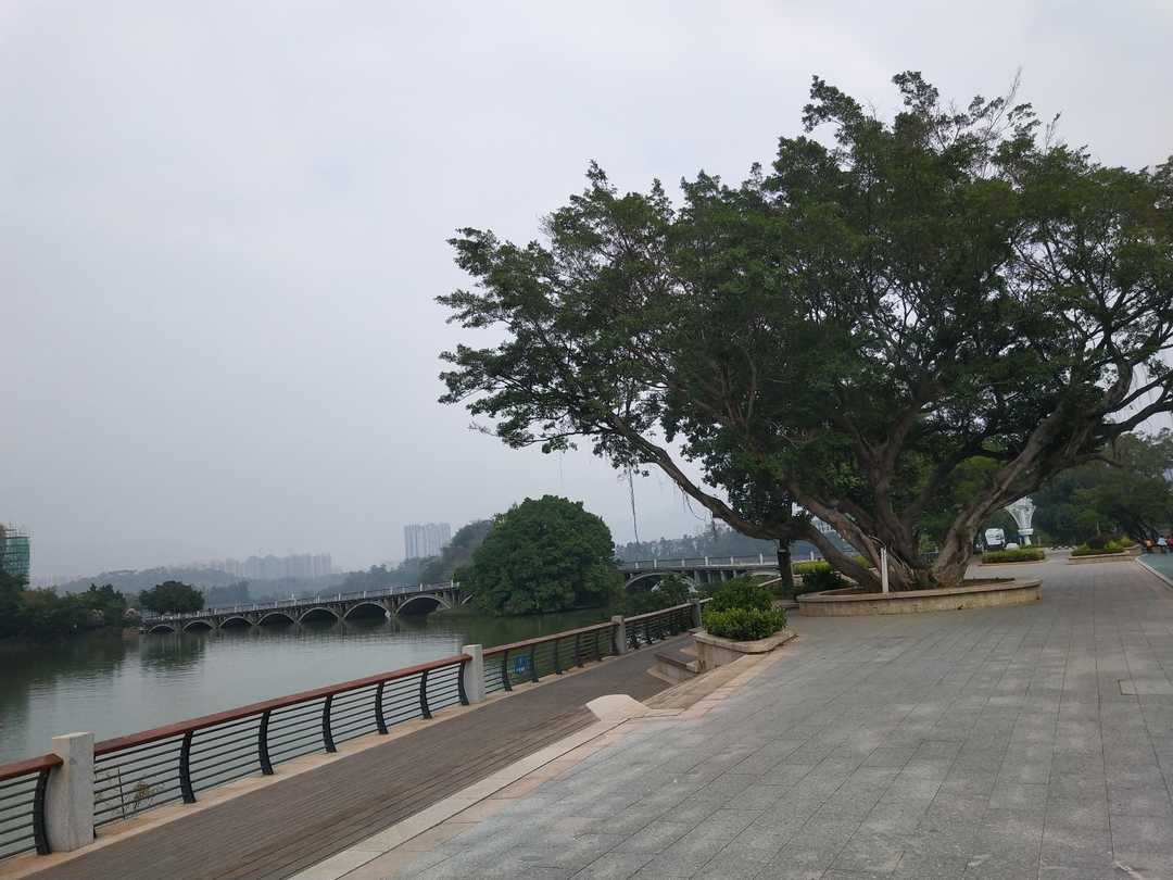 遥望星湖山水翠，白银盘里一青螺。‖肇庆星岩环湖游4