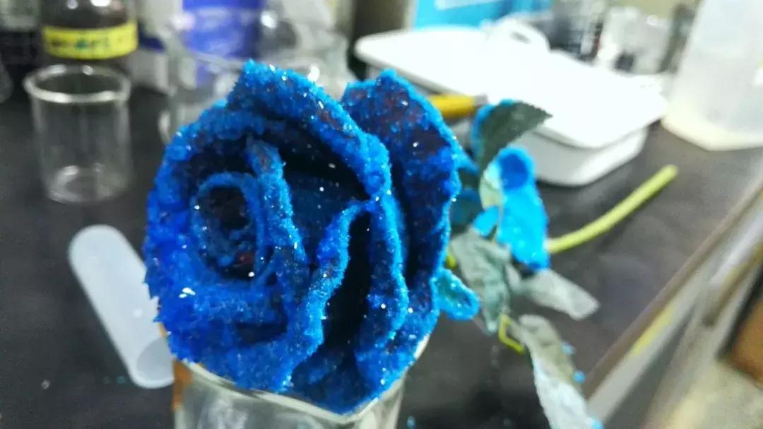 摄影大赛征稿|赋予色彩的世界