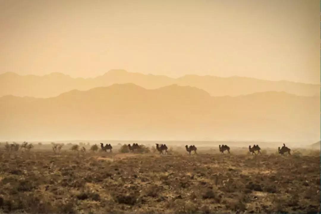 银川一个不一样的西北城市,宁夏银川大西北