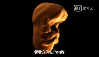 人体的奥秘与疾病,人体不知道的奥秘