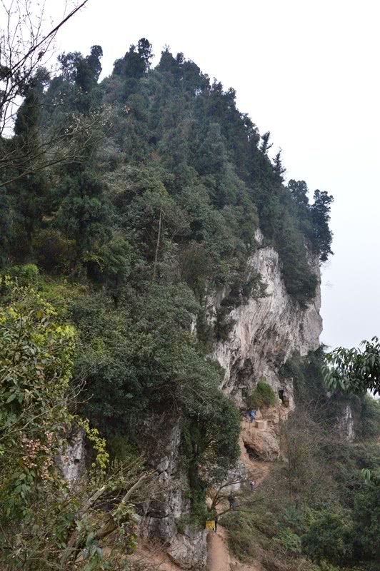飞来峰为什么是四川飞来的,四川飞来峰在哪里
