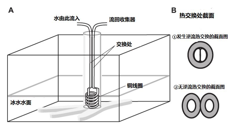 动物冬天为什么不冻脚,动物为什么能抵御寒冷