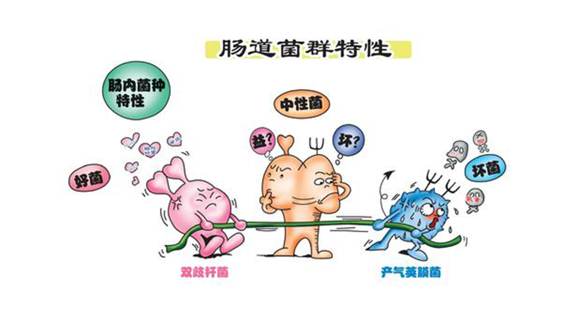 提高免疫力从宝宝抓起,给小孩提高抵抗力和免疫力