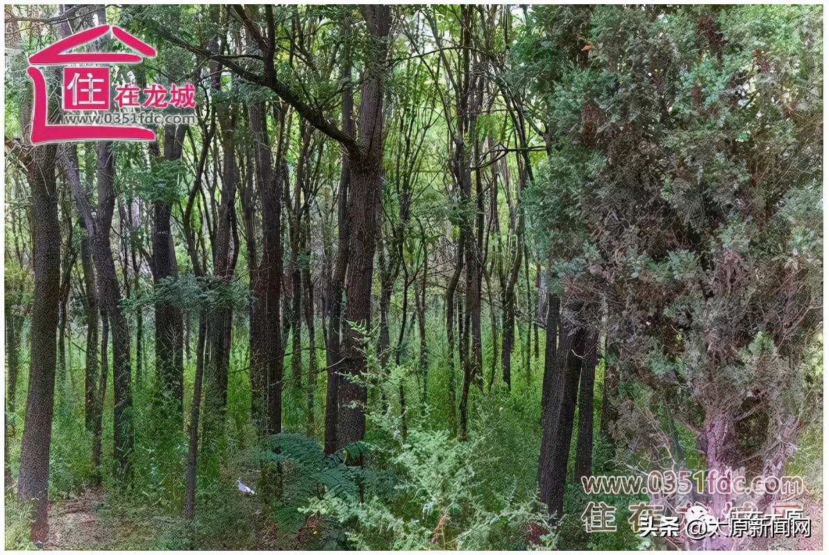山西师大整体搬迁哪里,2021年山西师大搬迁时间表