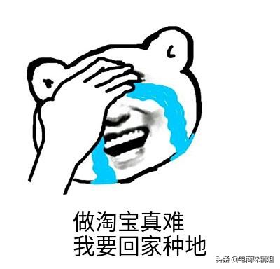 开淘宝店花费多少钱正常,请人开一个淘宝店要多少钱