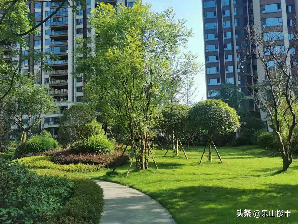 乐山领地兰台府最新价格,乐山领地兰台府房价降了么