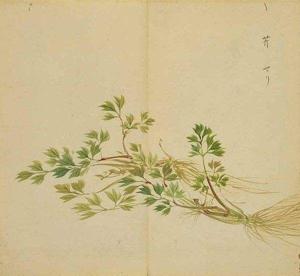 诗经卫风有狐赏析,诗经卫风有狐朗诵