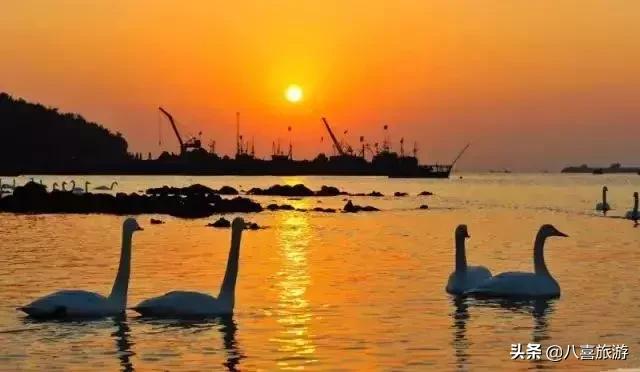 山东夏天值得去的旅游景点,夏天适合去的湖泊