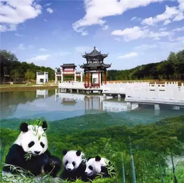 齐国故都临淄旅游攻略,山东旅游淄博旅游