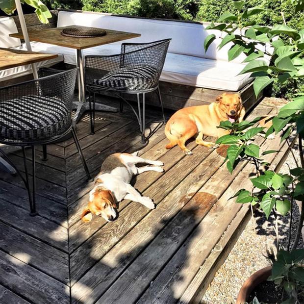 梅根卧室,梅根的卧室