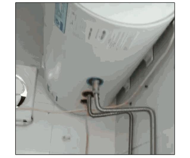 热水器水流出有虫子怎么办,饮水机水管里有小白虫