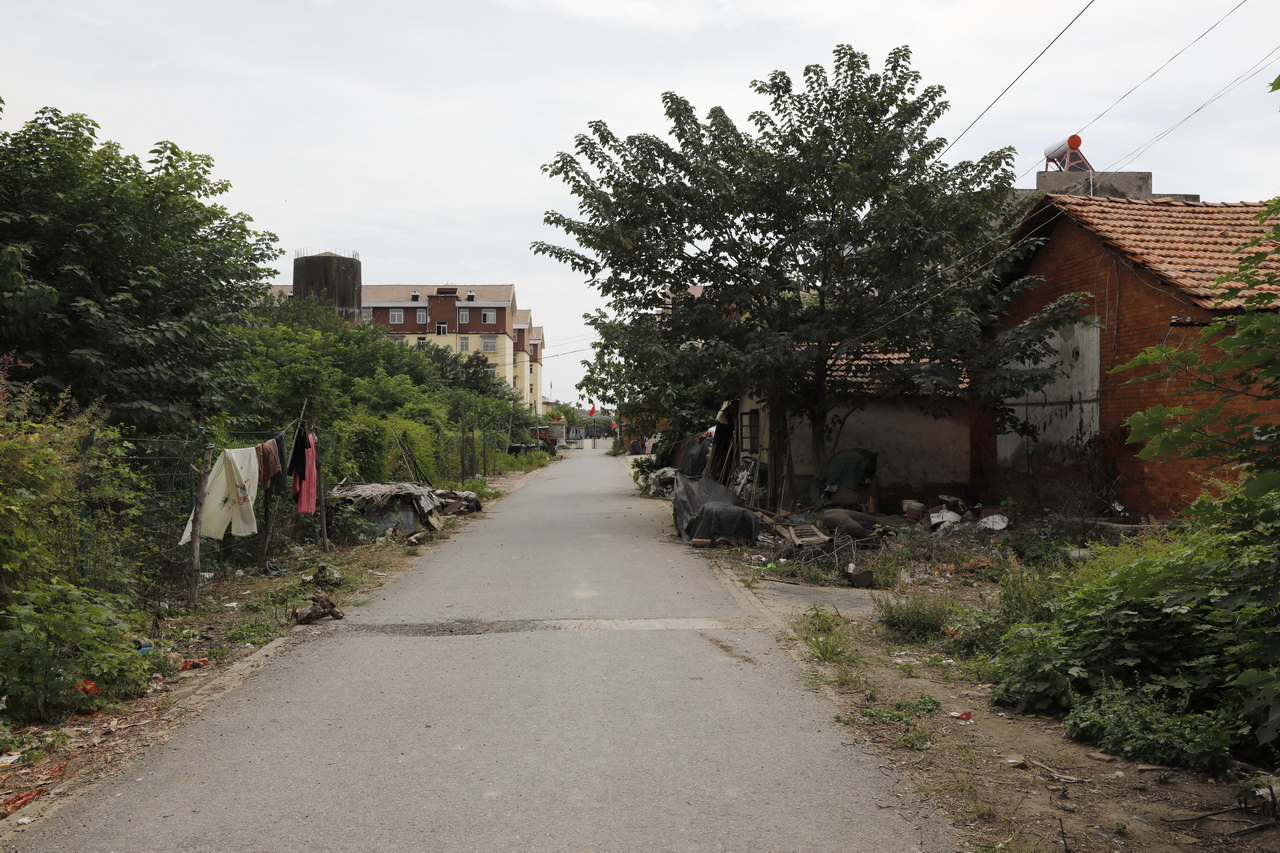 武汉市第七砖瓦厂陈建华,武汉砖瓦厂的发展现状