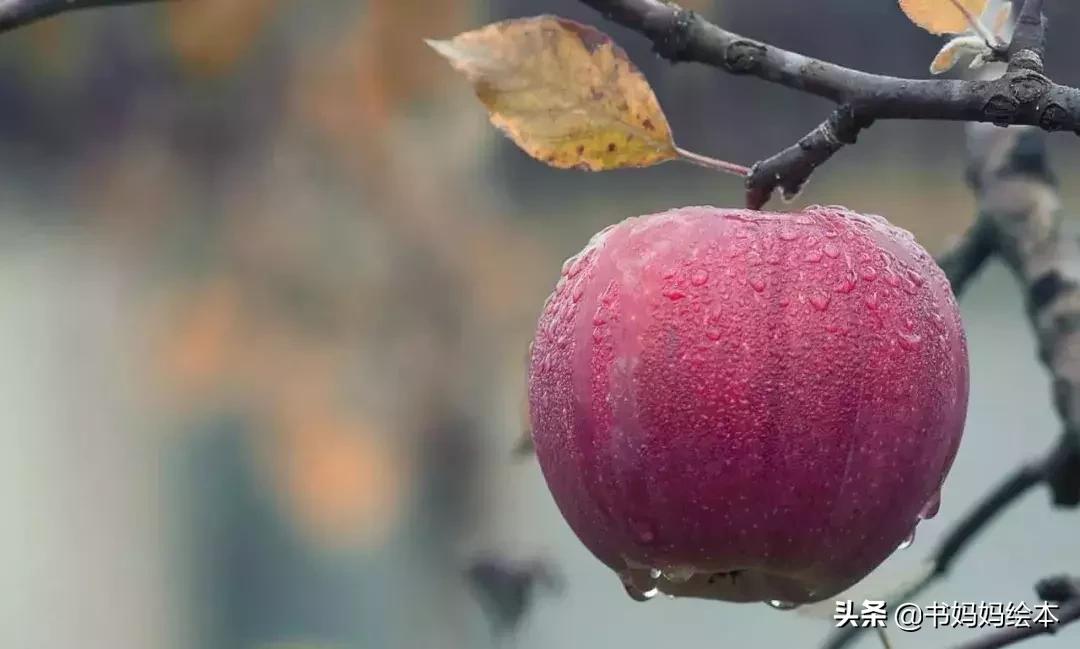 植树节绘本故事树真好完整版,关于植树节的绘本故事树真好